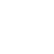 Schottenstein Homes Logo