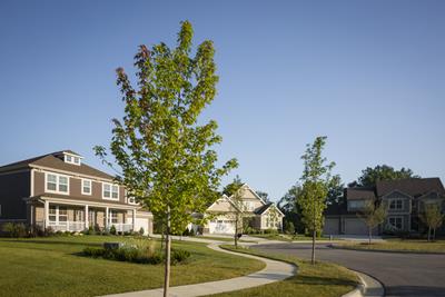 Persimmon Neighborhood