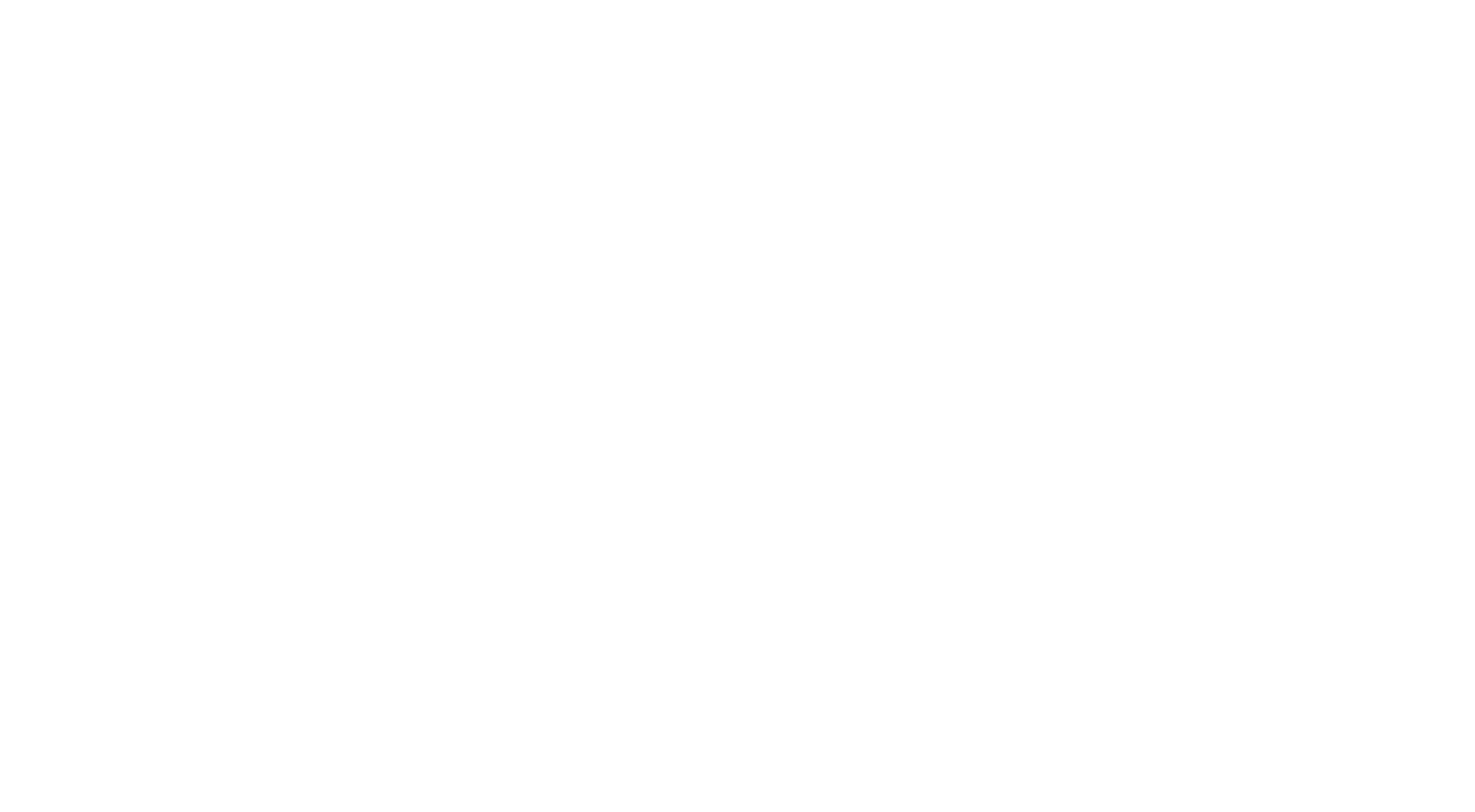 Virginia Homes Logo