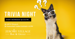 Wednesday Trivia Nights