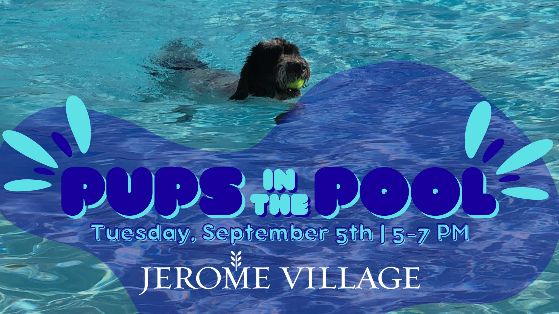 Pups in the Pool